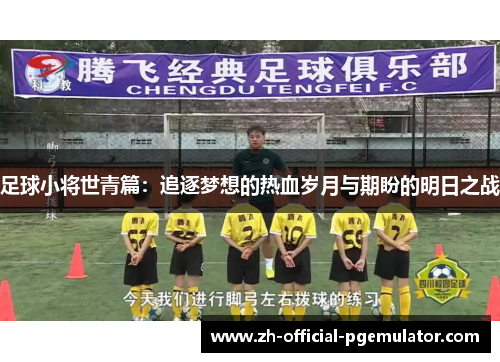 足球小将世青篇:追逐梦想的热血岁月与期盼的明日之战 足球小将世青篇:追逐梦想的热血岁月与期盼的明日之战