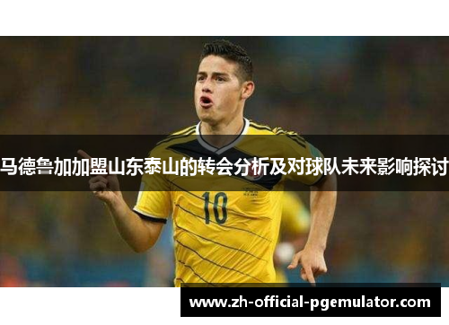 马德鲁加加盟山东泰山的转会分析及对球队未来影响探讨