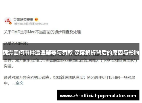 魏震因何事件遭遇禁赛与罚款 深度解析背后的原因与影响
