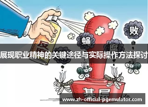展现职业精神的关键途径与实际操作方法探讨