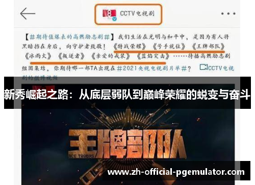 新秀崛起之路：从底层弱队到巅峰荣耀的蜕变与奋斗