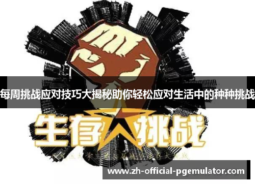 每周挑战应对技巧大揭秘助你轻松应对生活中的种种挑战