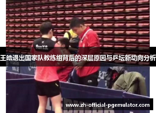 王皓退出国家队教练组背后的深层原因与乒坛新动向分析