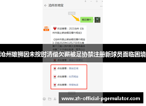 沧州雄狮因未按时清偿欠薪被足协禁注册新球员面临困境
