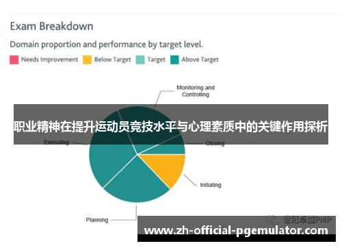 职业精神在提升运动员竞技水平与心理素质中的关键作用探析